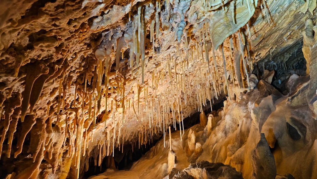دورة تكوينية و تدريبية في علم الإستغوار